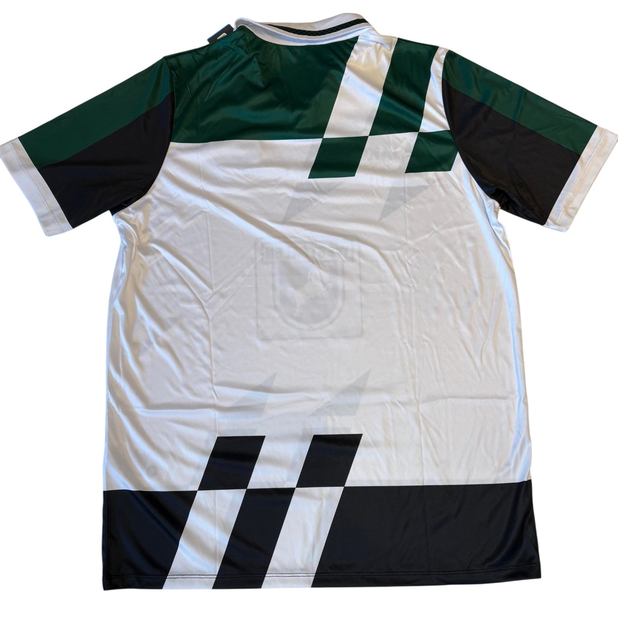 Preußen Münster Sondertrikot 2024/25 - L